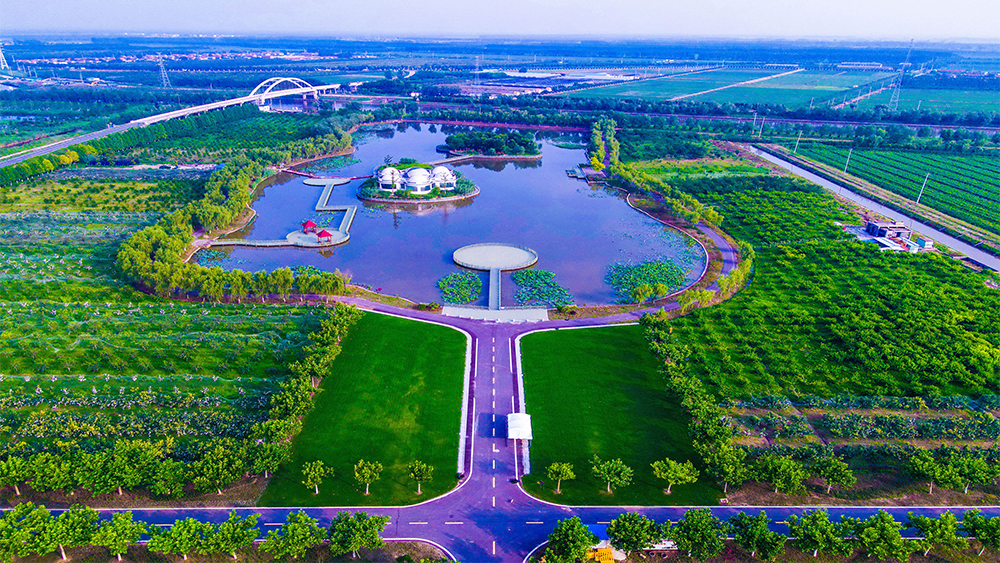 夢(mèng)覺(jué)夏韻果園-殷尚-.jpg