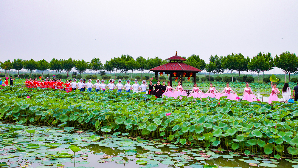 云臺(tái)農(nóng)場(chǎng)“云水灣”濕地公園游人如織 (2).jpg